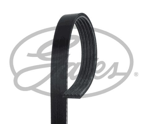 Poly V-riem GATES