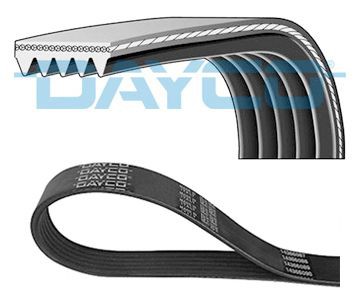 Poly V-riem DAYCO