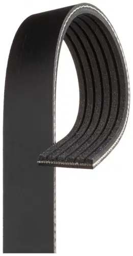 Poly V-riem GATES