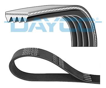 Poly V-riem DAYCO