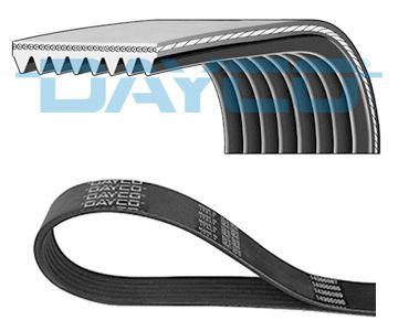 Poly V-riem DAYCO