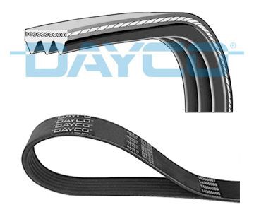 Poly V-riem DAYCO