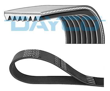 Poly V-riem DAYCO