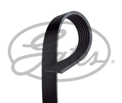 Poly V-riem GATES