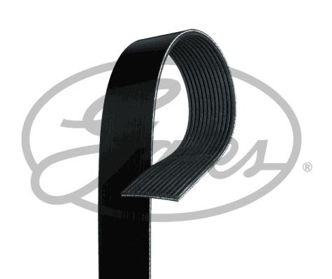 Poly V-riem GATES