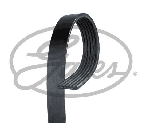 Poly V-riem GATES